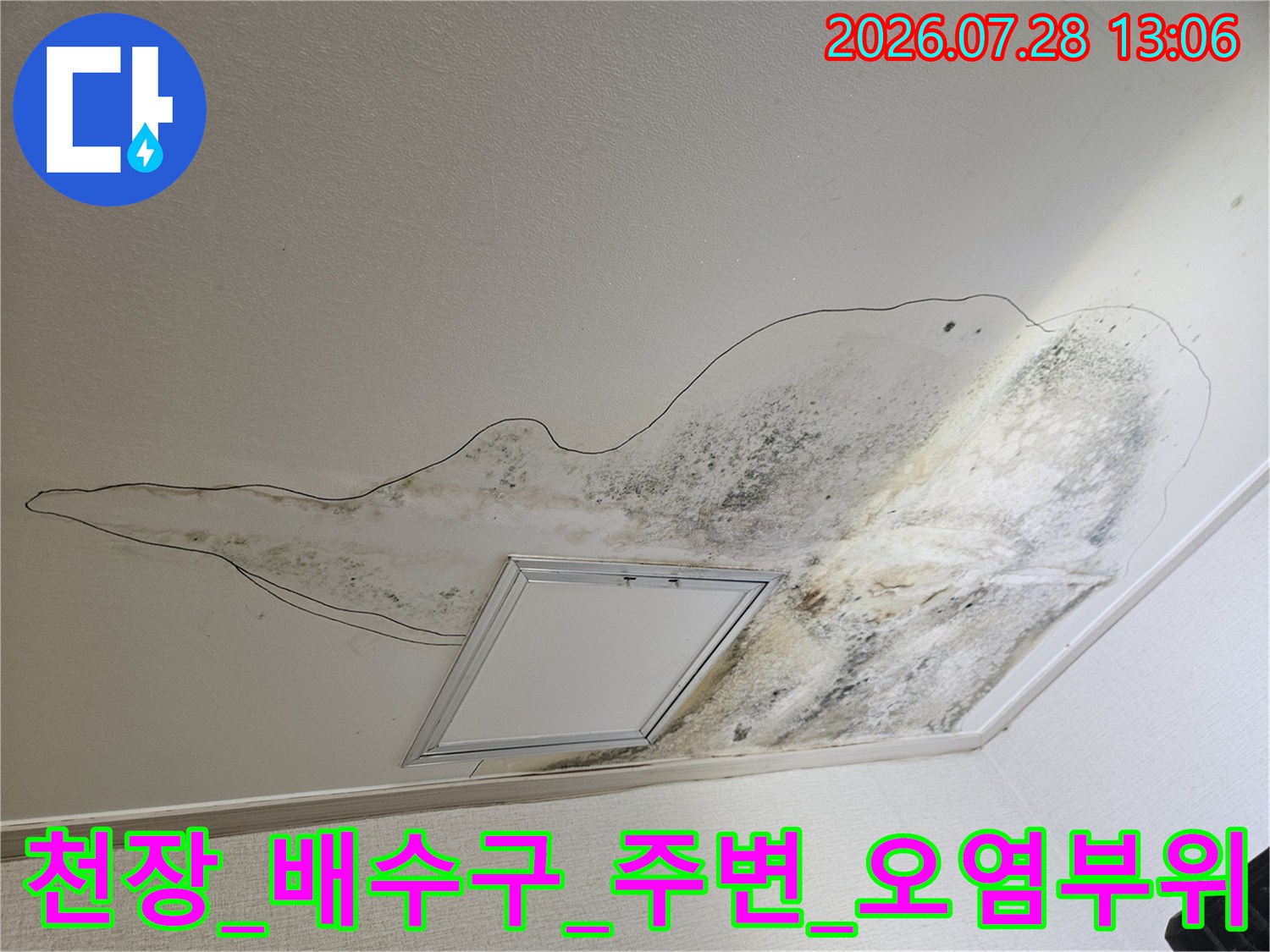 배수용관_접합부_결함으로_인한_천장_곰팡이현황