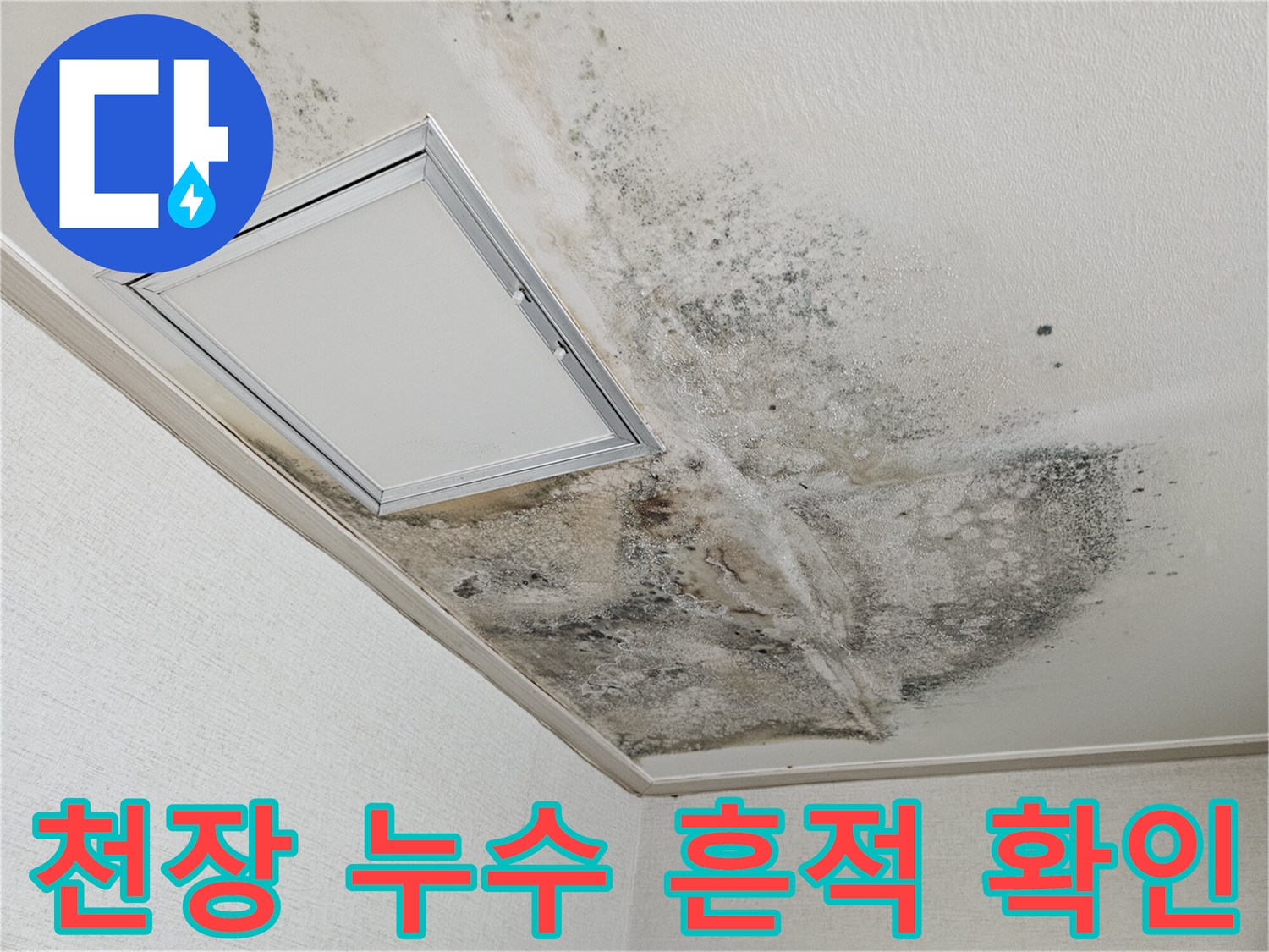 천장 마감재에 나타난 검은색 곰팡이와 물샘 흔적