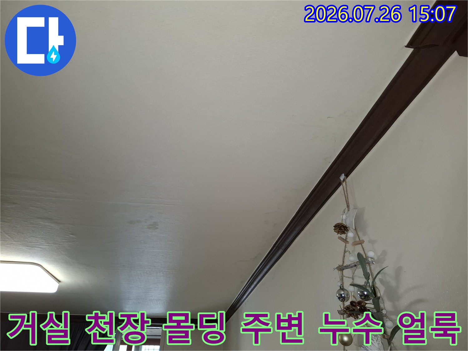 거실 천장의 갈색 몰딩과 벽면 접합부-주변에 노랗게 번진 물 얼룩과 곰팡이 흔적이 보이는 모습