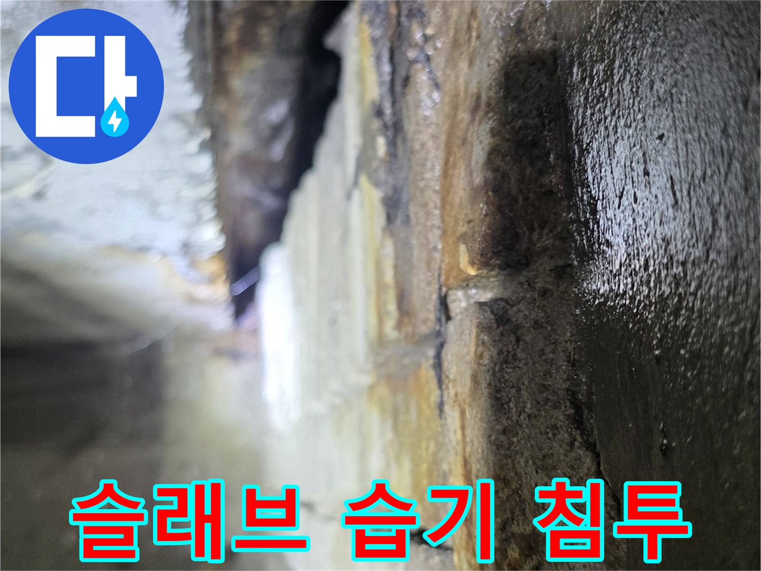 천장-콘크리트-면의-습기-및-얼룩-발견