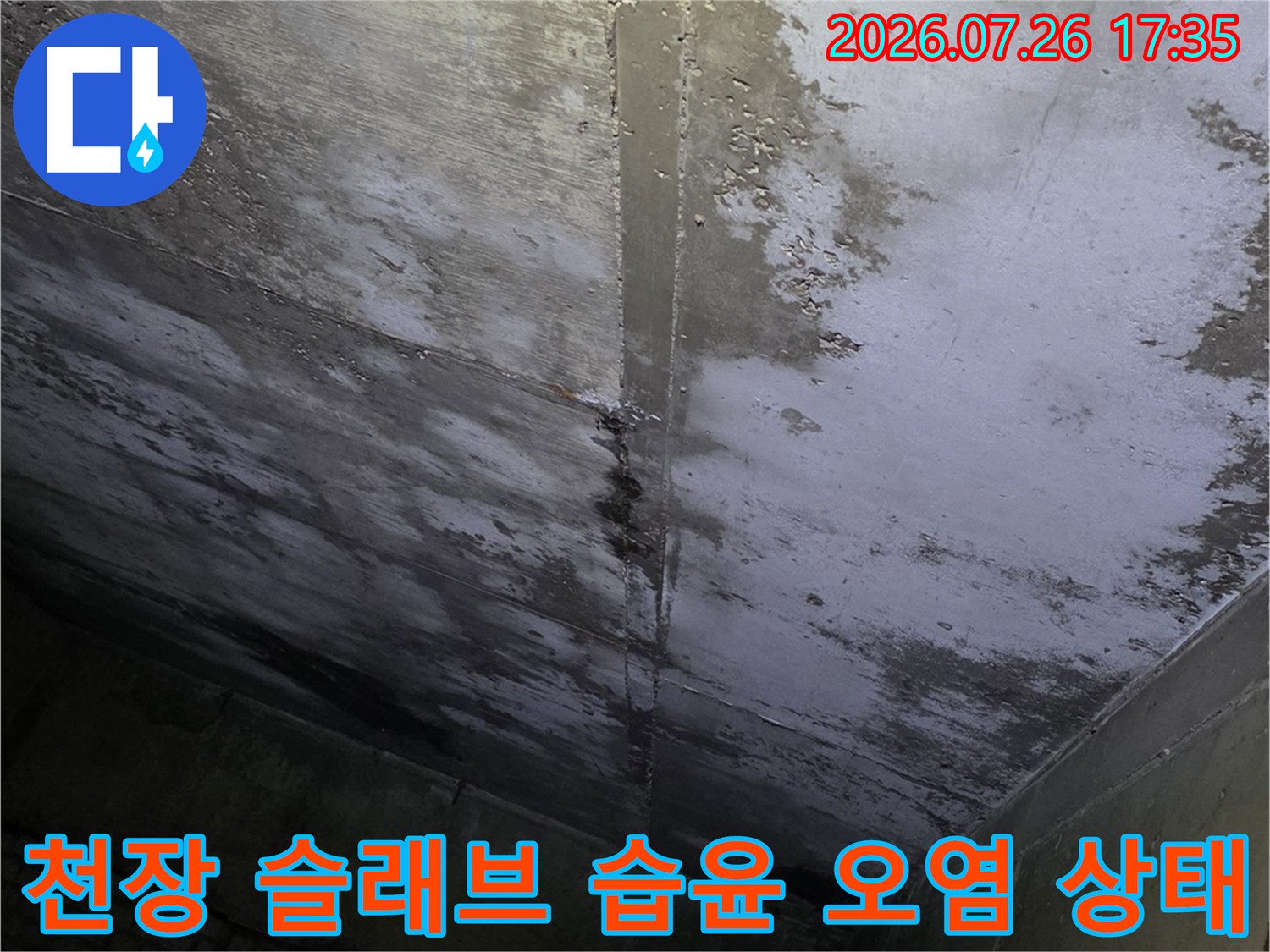 콘크리트 천장 표면에 물기가 스며들어 하얗게 변색되고 얼룩진 모습