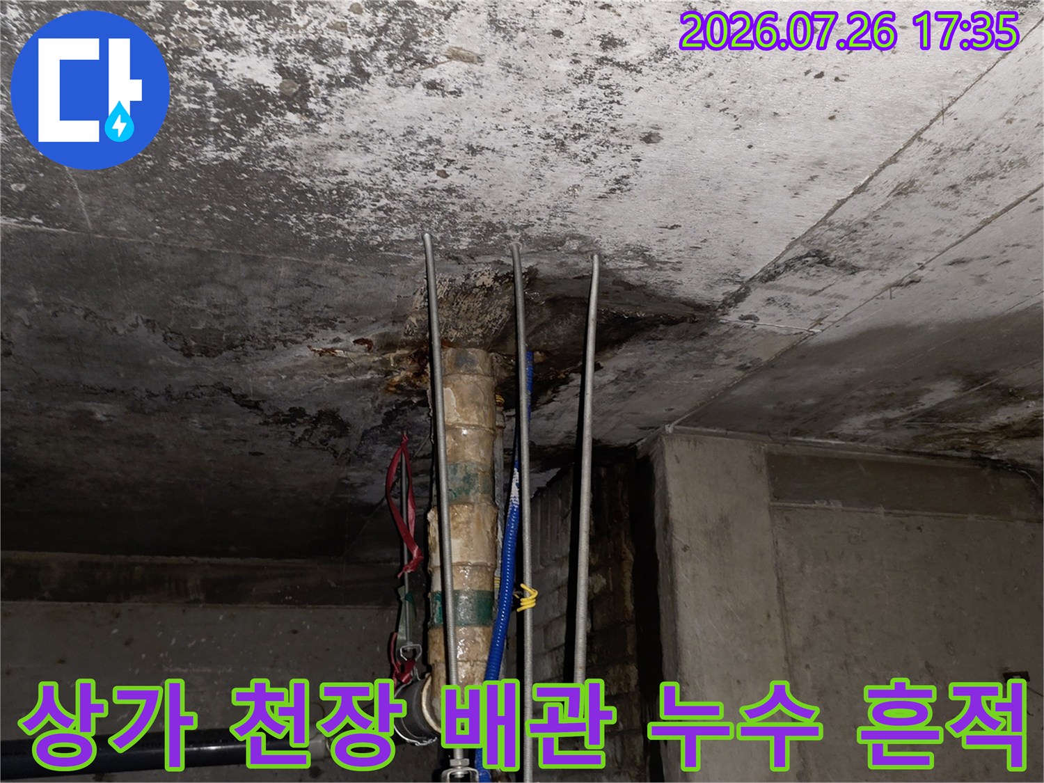콘크리트 천장에서 배관 주변으로 물이 스며들어 어둡게 변색된 모습-누수 피해 현장