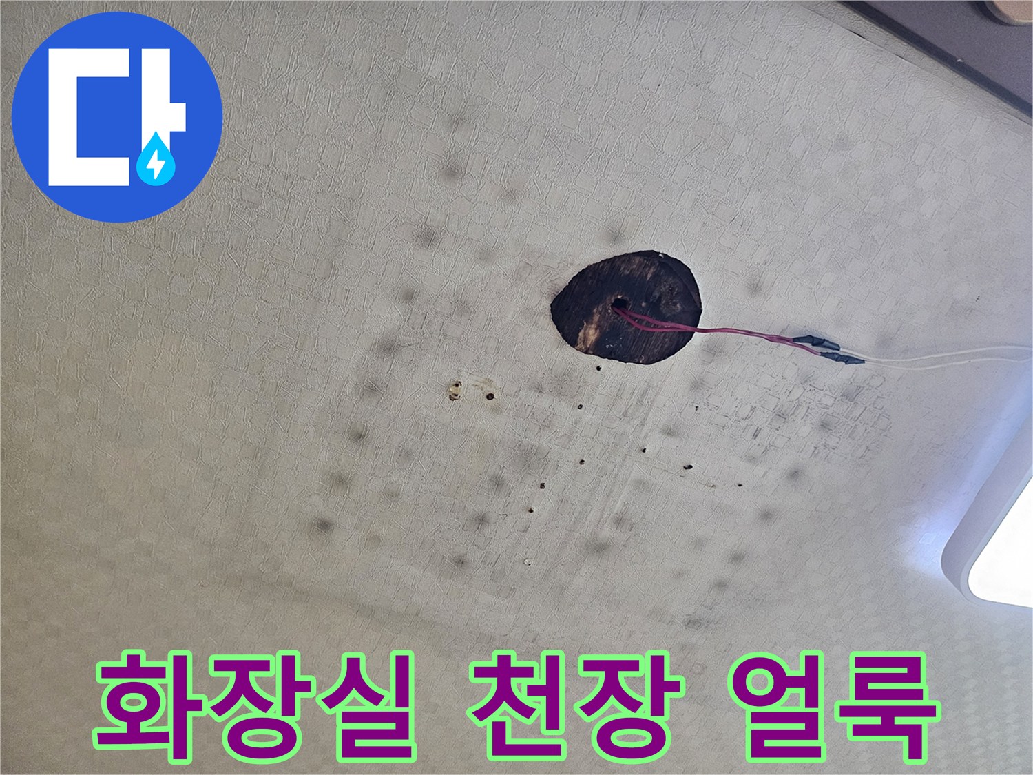 습기로-얼룩진-화장실-천장-텍스-표면
