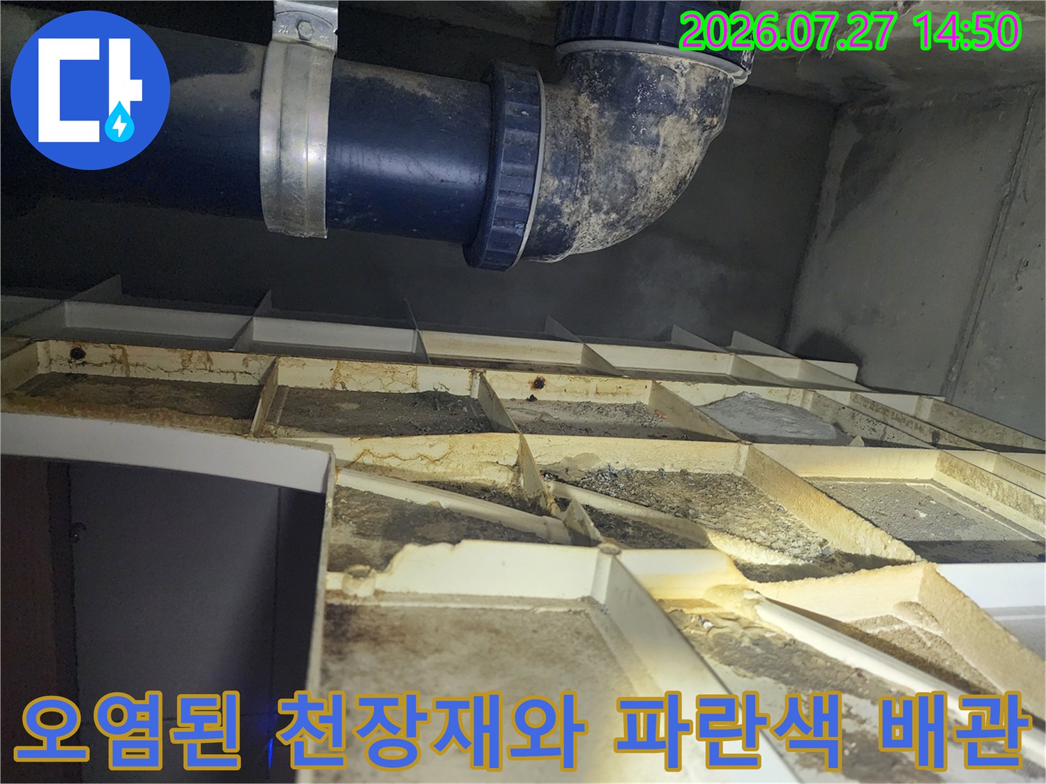 천장 슬라브 아래 설치된 파란색 PVC 배관과 물때로 오염된 격자형 천장 구조물