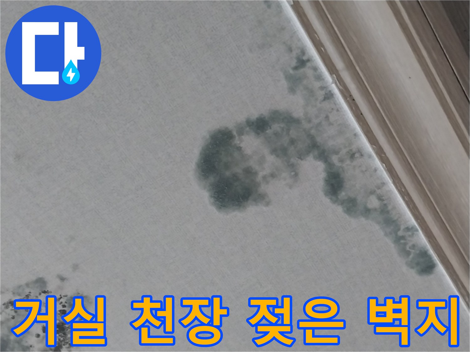 물에 젖어 변색된 거실 천장 벽지의 상세 모습