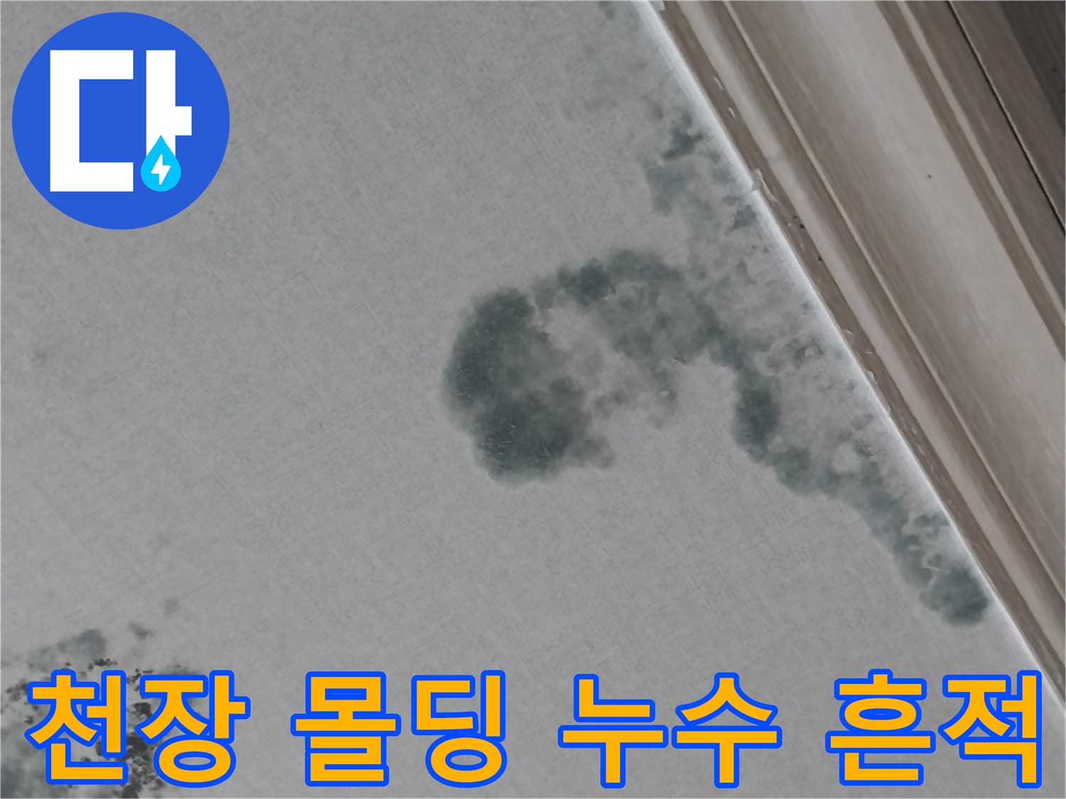 천장 몰딩 주변에 번진 어두운색의 누수 오염 부위