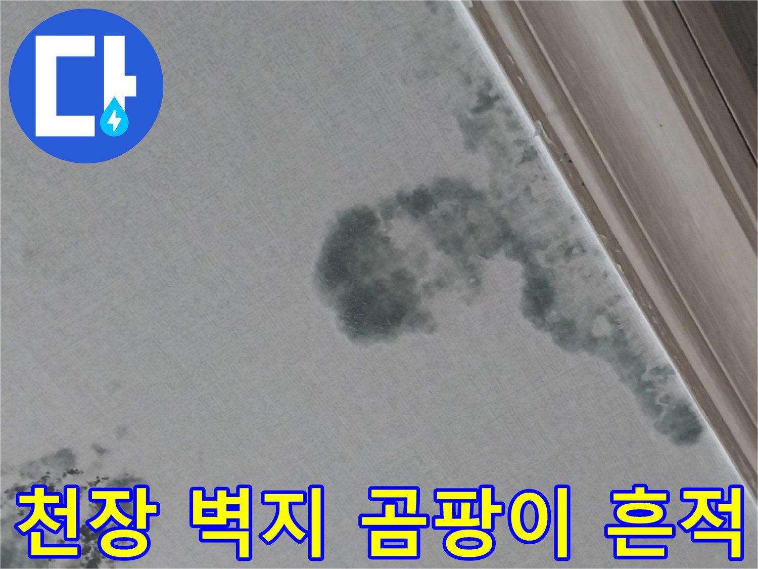 화성 동탄 현장 천장 벽지의 광범위한 곰팡이 및 누수 얼룩