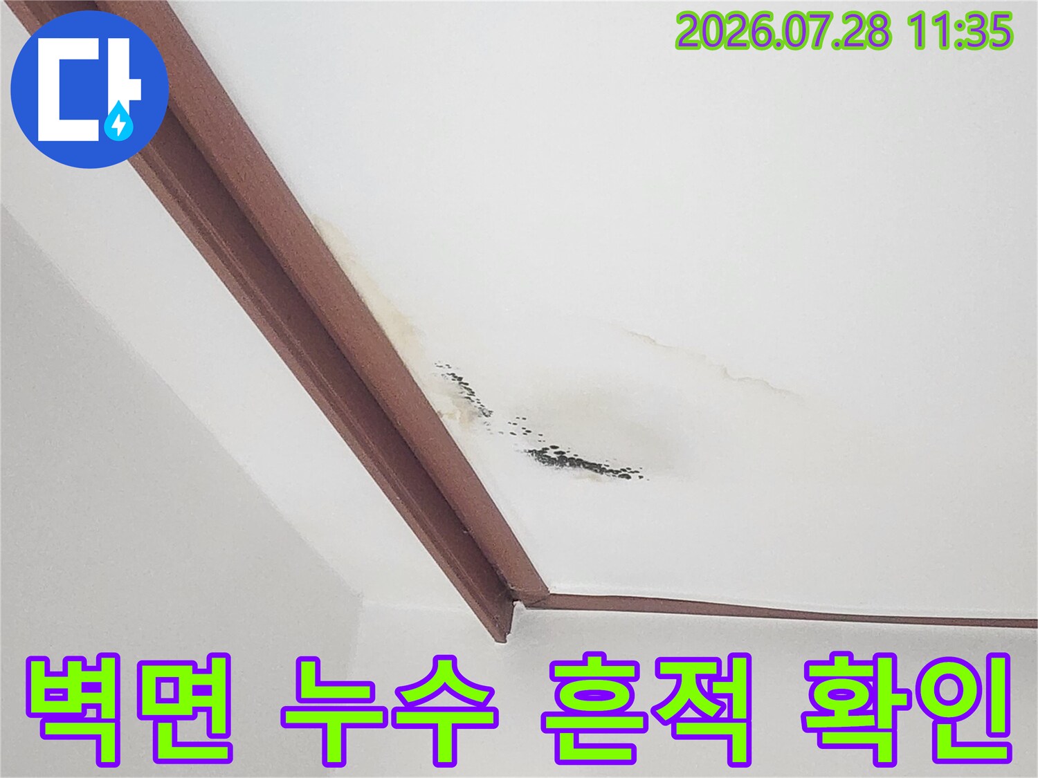 거실 천장 몰딩 인근에 발생한 곰팡이와 물자국 이미지