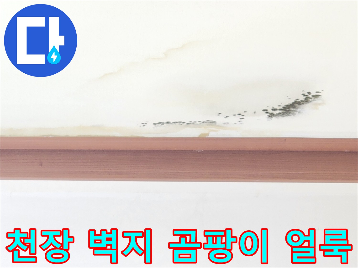 거실 천장 벽지에 발생한 누런 수분 흔적과 곰팡이