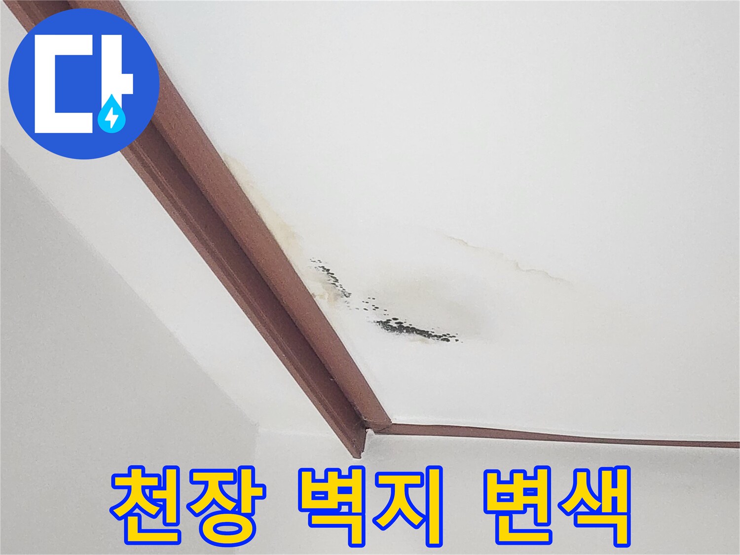 벽면 상단 몰딩 아래로 번진 물 얼룩과 곰팡이 흔적
