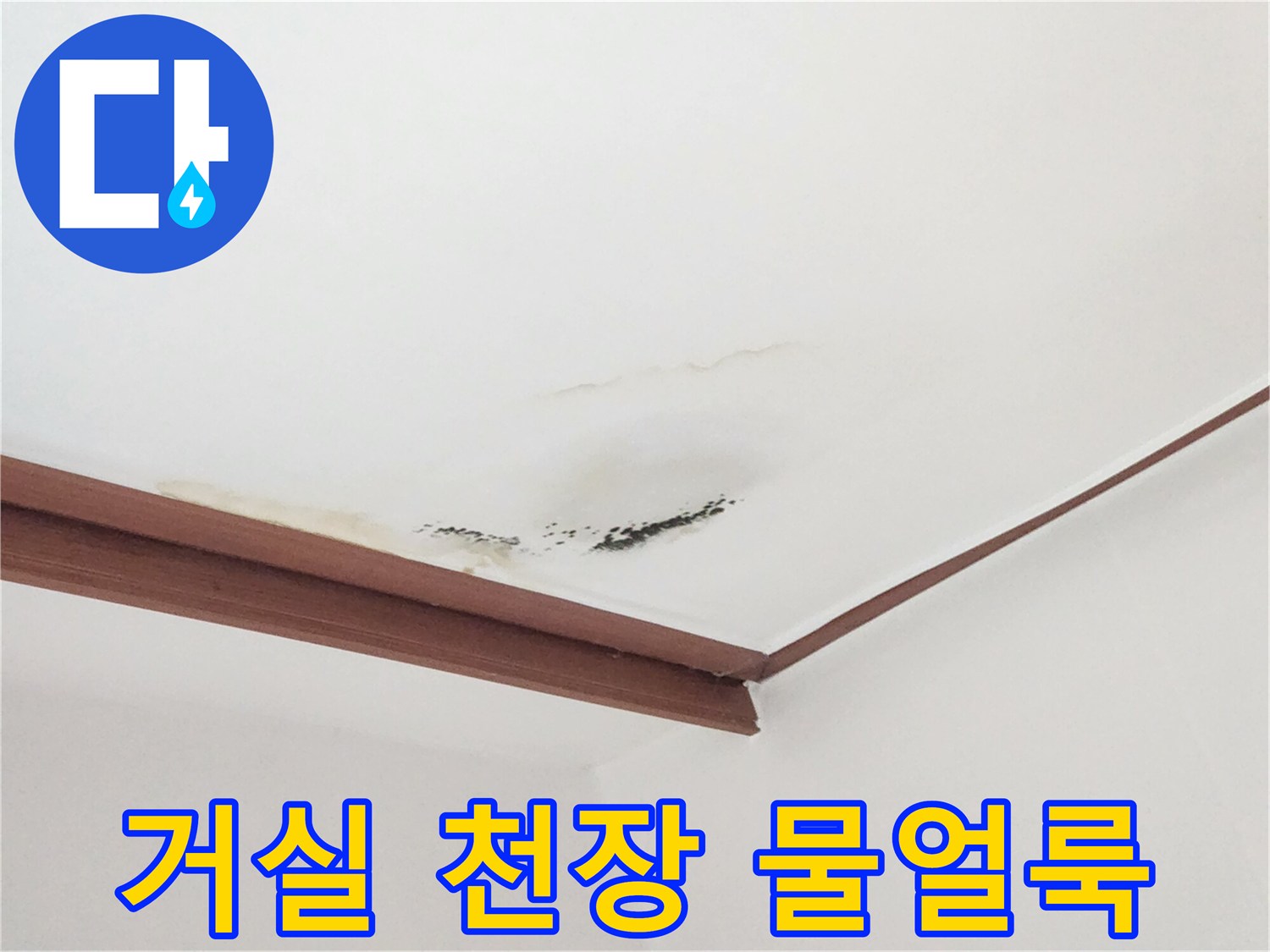 중구 거실-천장-누수-흔적-및-곰팡이-상태