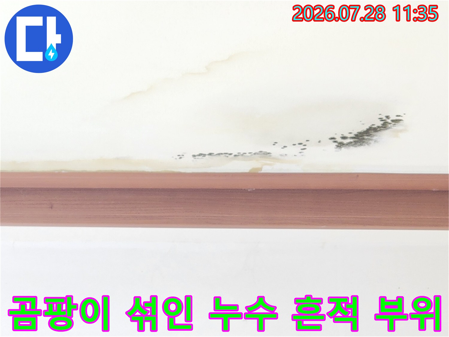 천장에 형성된 물자국과 검은색 곰팡이가 혼재된 누수 피해 구역