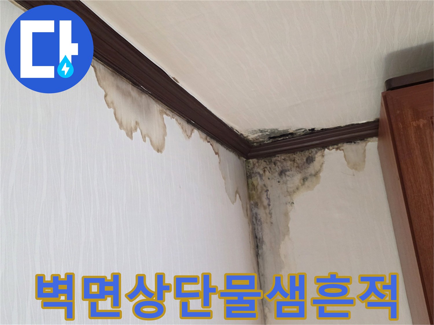 천장-몰딩-부근의-누수-유입-경로-및-곰팡이-발생