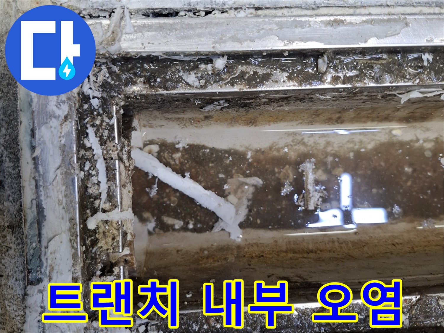 오염된-식당-주방-배수구-트명-상태-확인