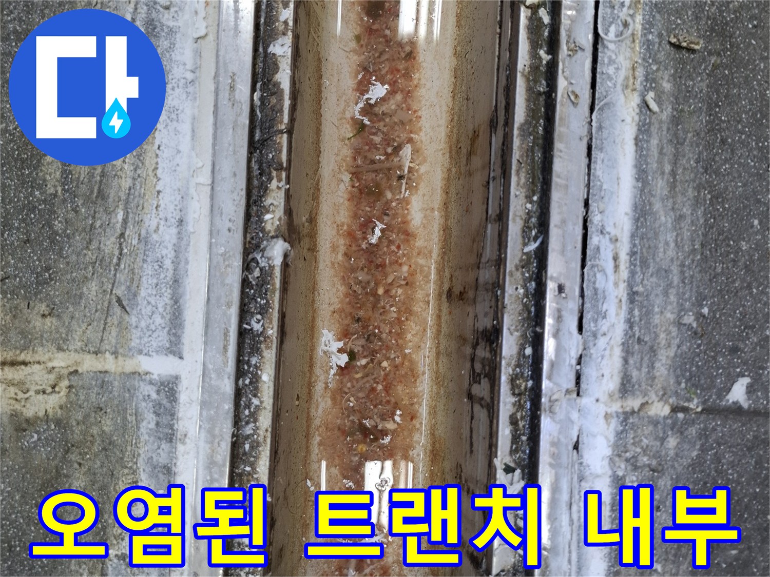 중랑구 식당-배수구 트랜치 내부의 오염 및 균열 상태