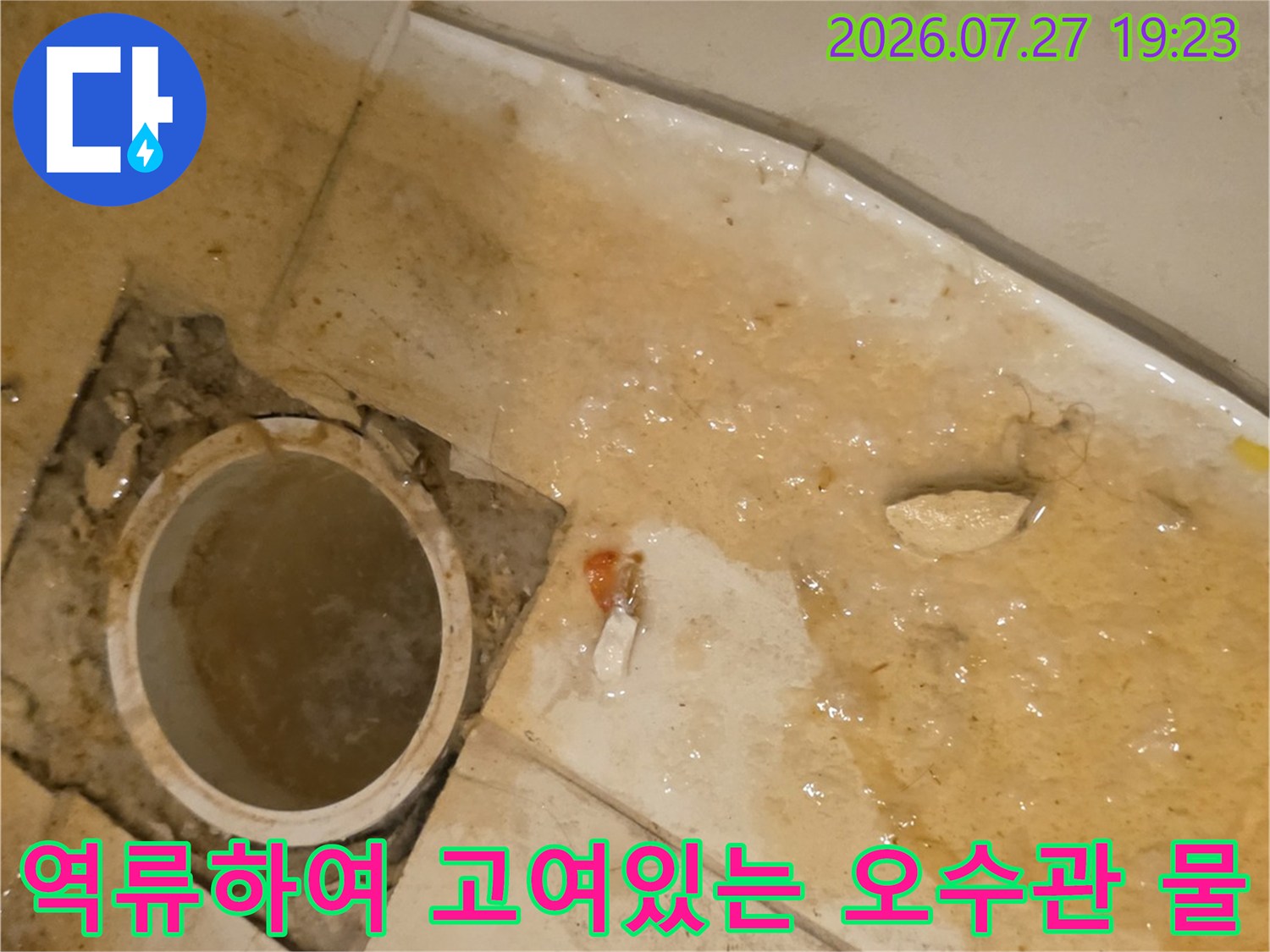 오수관 주변 타일 바닥에 누런 오물이 섞인 물이 가득 고여 있는 사진
