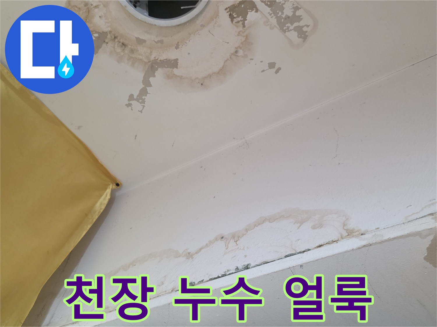 상가주택-1층-천장-누수-흔적-및-곰팡이-발생-상태