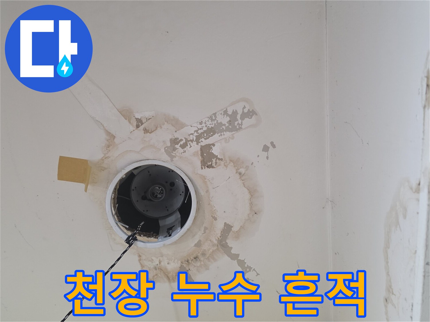 송파구-상가주택-천장-누수-흔적-및-오염-상태