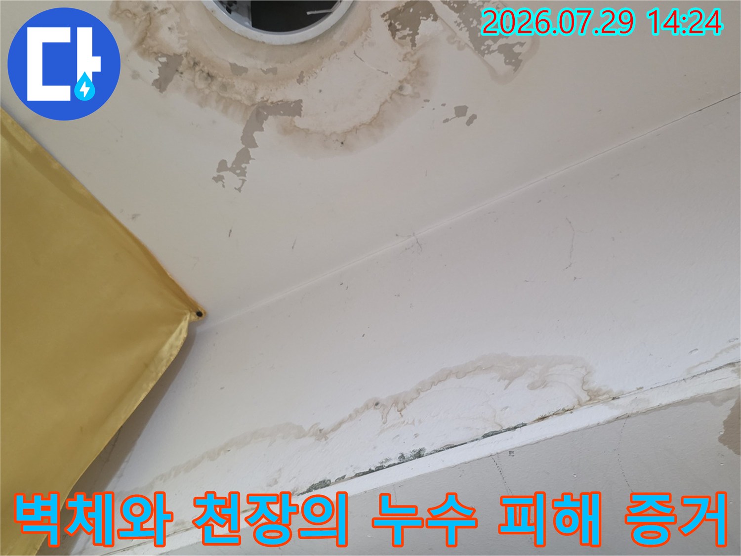 천장 마감재에 스며든 물자국과 누수로 인한 변색 현황