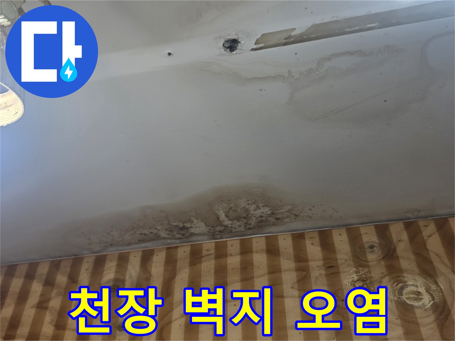 천장 벽면-물샘으로 인한 곰팡이 및 변색 부위