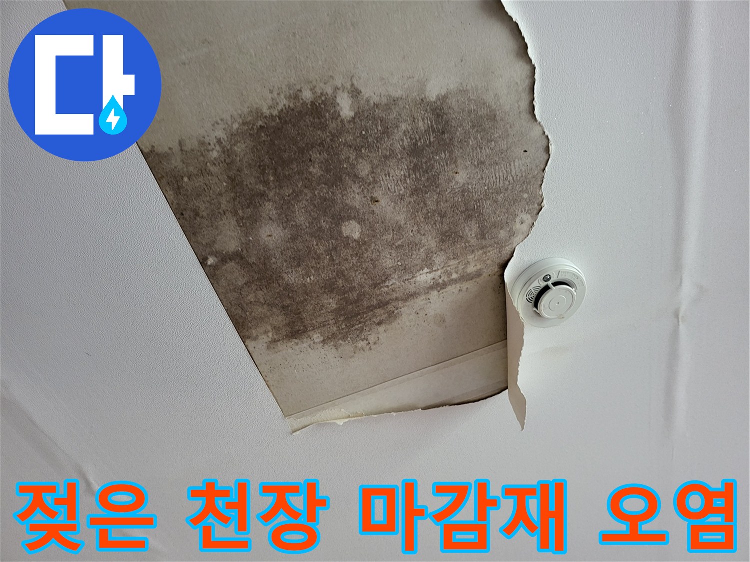 누수 피해로 인한-천장 내부 곰팡이 자국