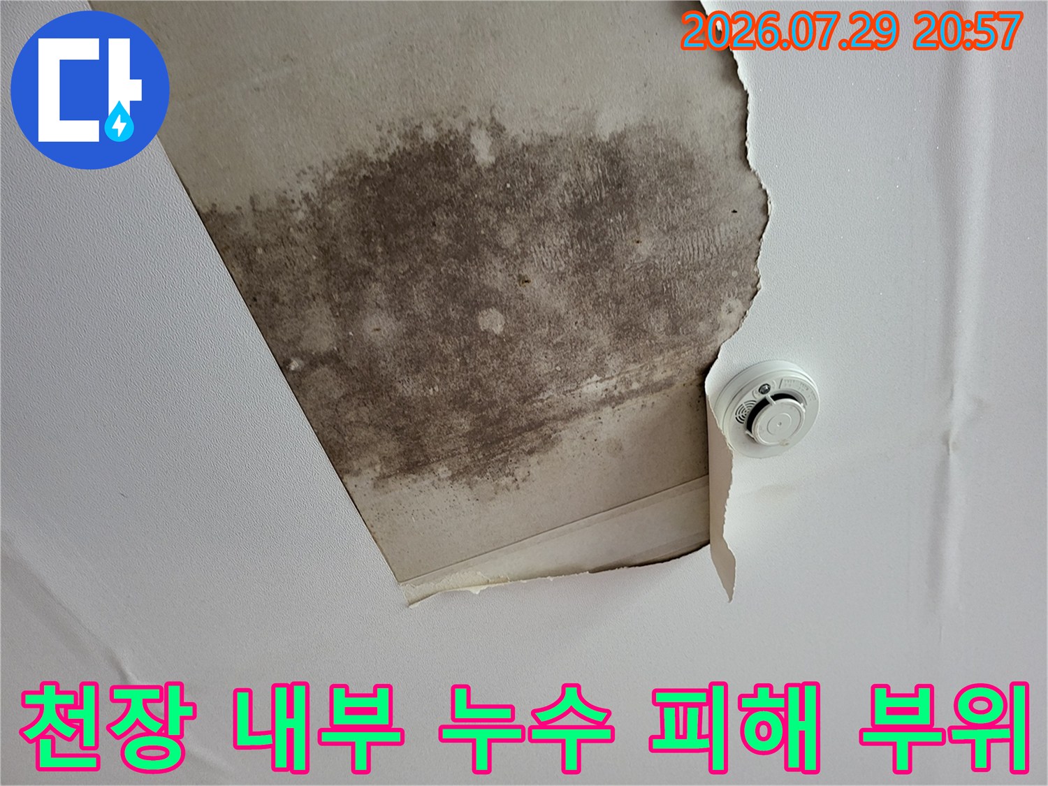 누수로 인해 변색되고 오염된 천장 내벽과 배관 주변의 모습