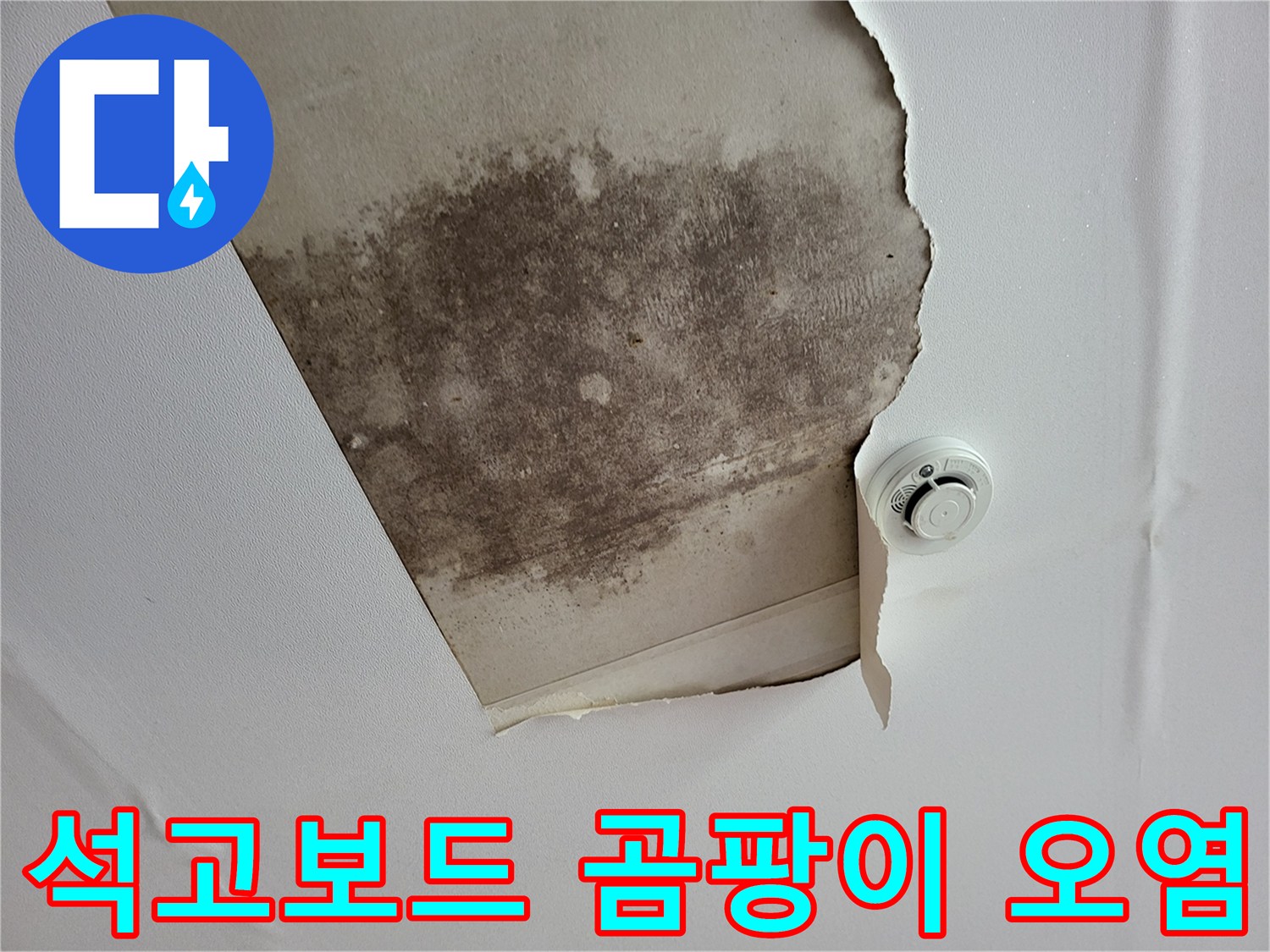 천장 마감재 내부로 침투한 습기와 곰팡이 번식 현황