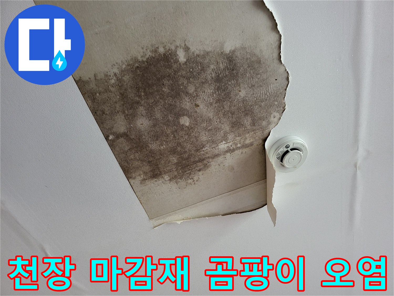 천장 석고보드-표면의 넓은 곰팡이 얼룩