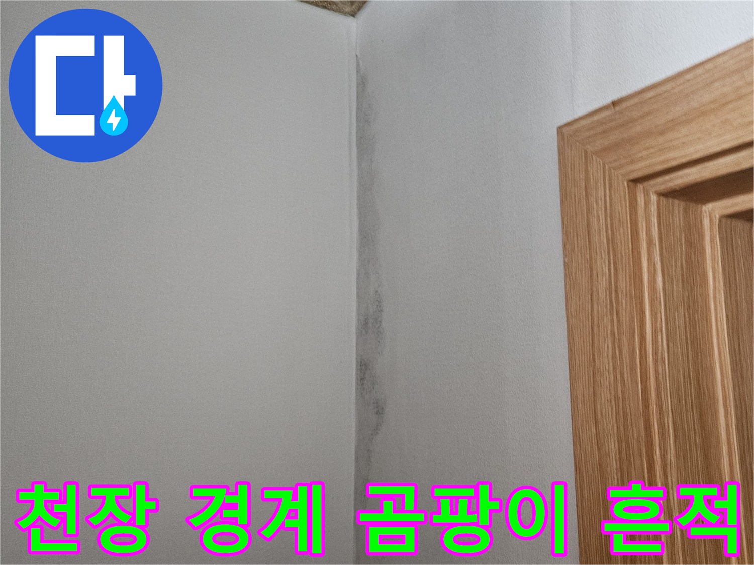 강서구 화곡동 현장 - 천장 모서리 벽면의 곰팡이 오염 상태