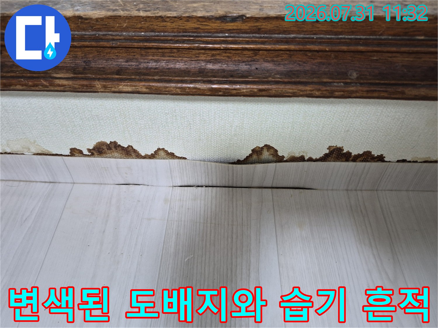 습기로 인해 변색되고 찢어진 듯한 모습의 하단부 도배지 촬영