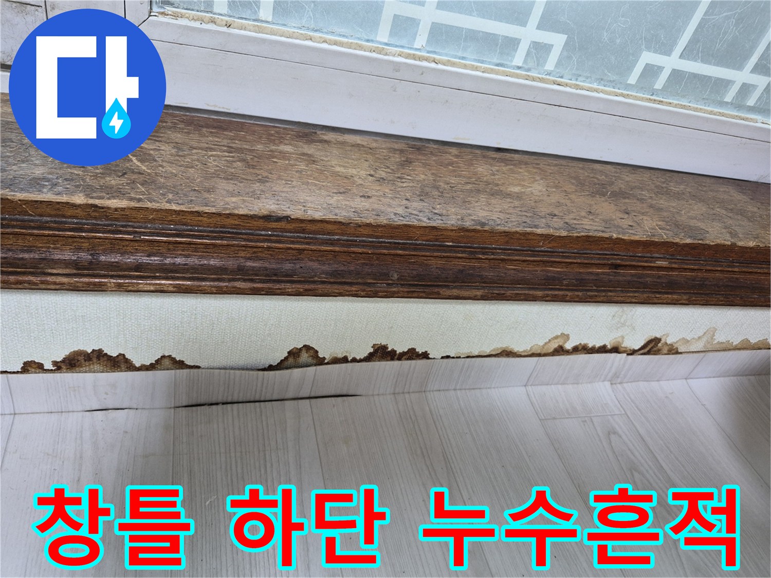 창문 프레임 아래-곰팡이가 발생한 벽지 상태