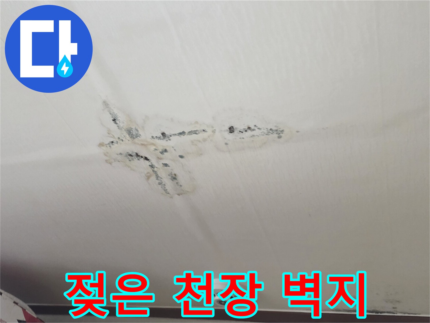 구미동 원룸-천장 벽지가 물에 젖어 변색된 모습