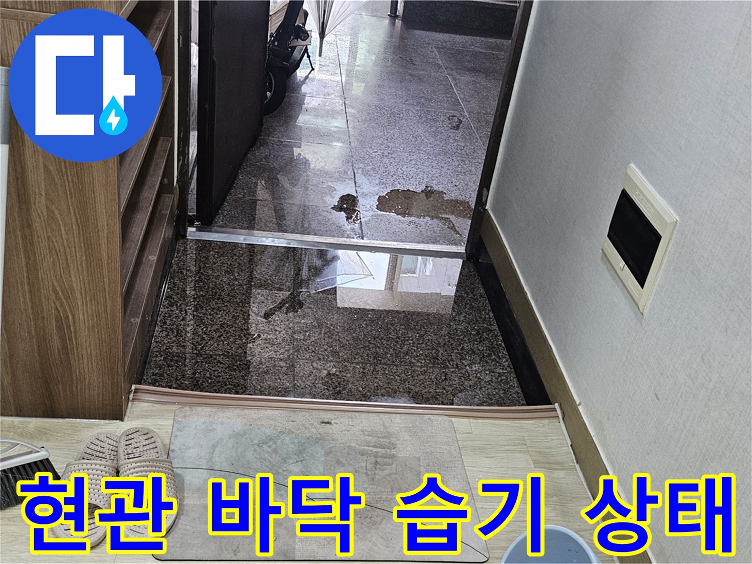 화성 진안동 현관 바닥 타일에 나타난 물기 얼룩과 습한 상태