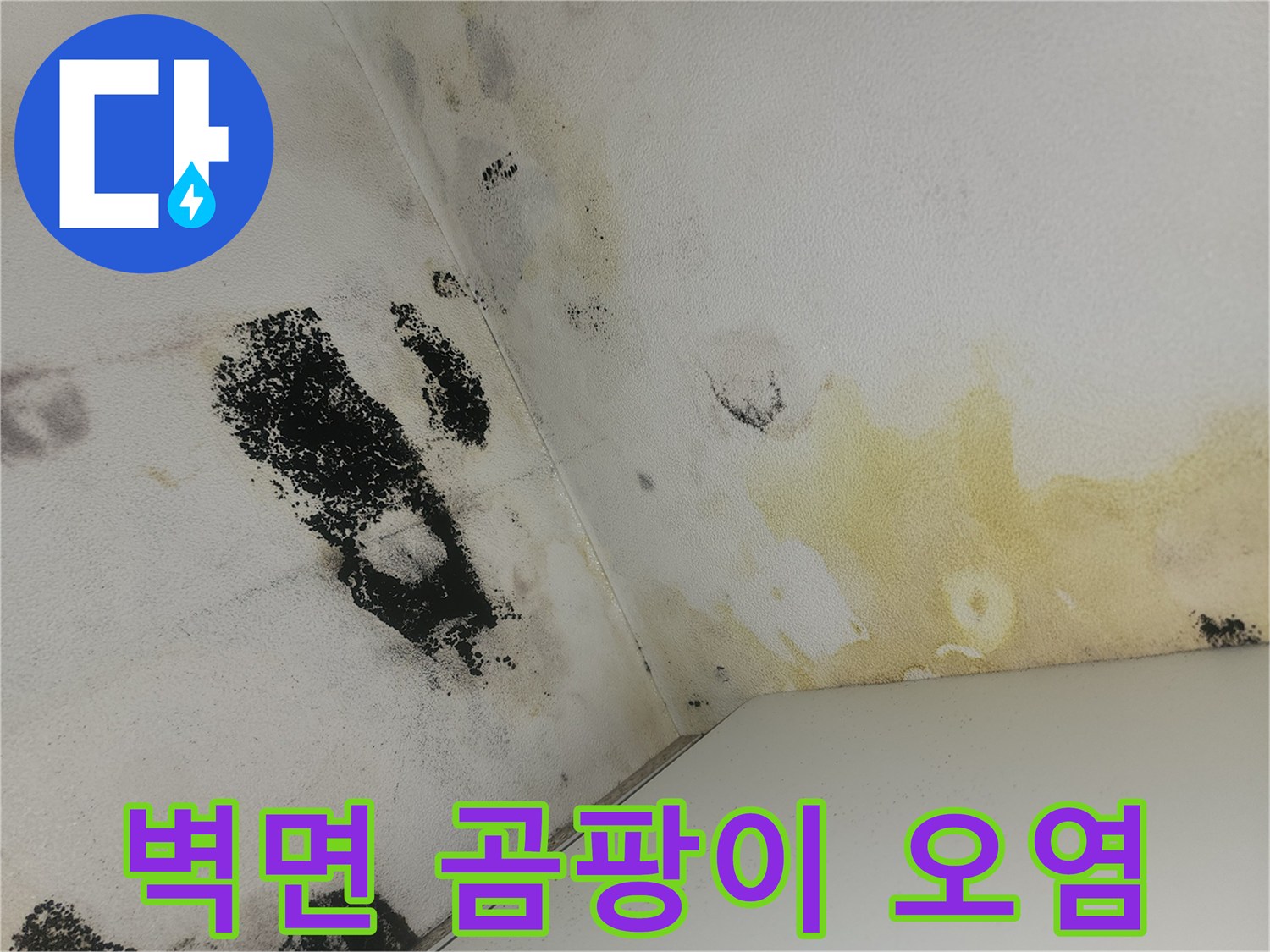습기와 누수로 인한-화장실 벽면의 변색 및 곰팡이