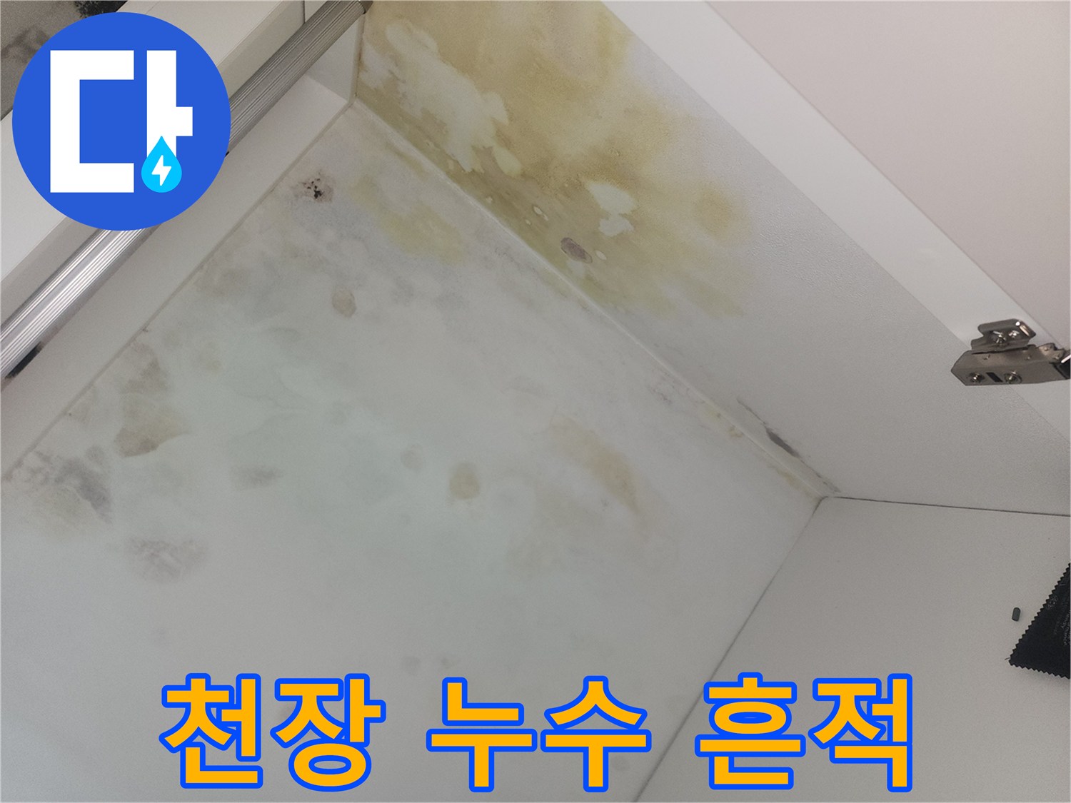양천구-욕실-천장-누수-발생-지점-촬영