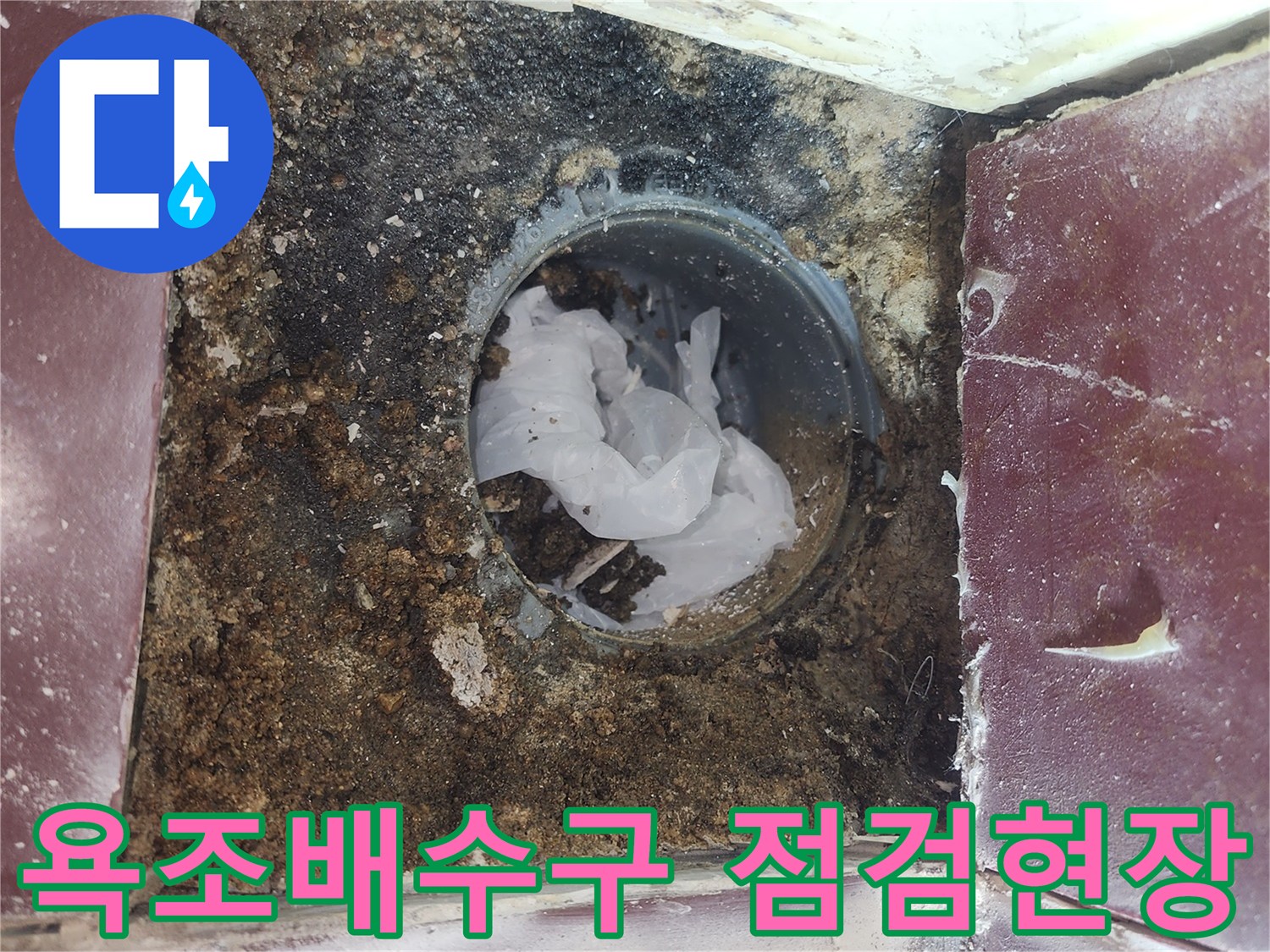 양천구-화장실-욕조-배수구-주변-오염-상태