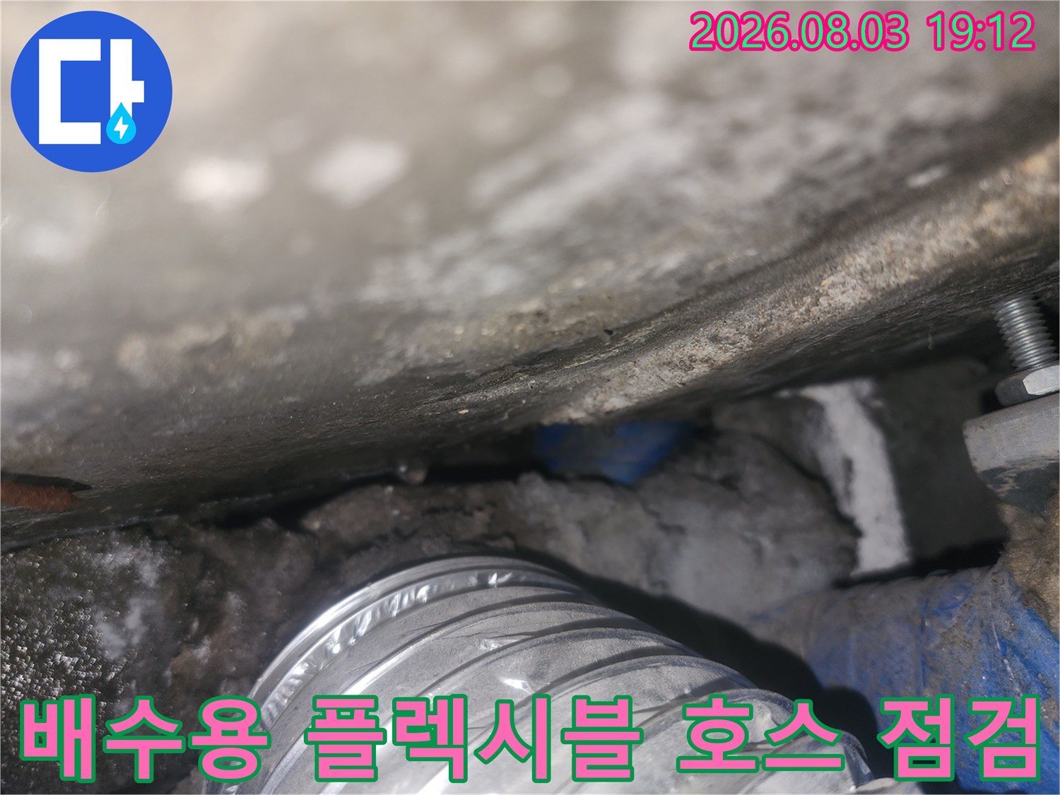 화장실 배수구 아래에 위치한 회색 플렉시블 호스 배관을 점검하는 모습