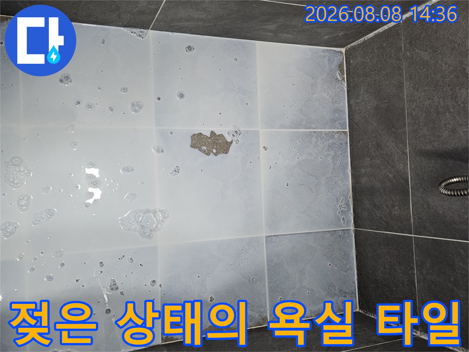 권선구 아파트-물기로 인해 젖어 있는 욕실 바닥 타일