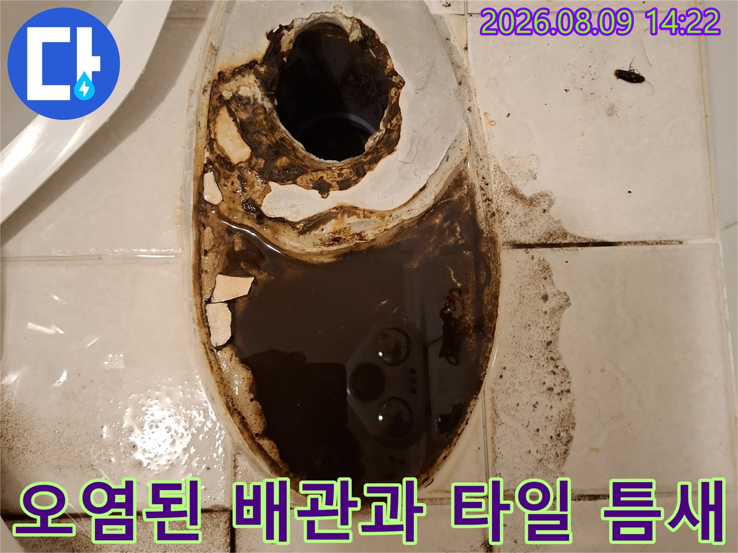 변기 제거 후 드러난 오염된 배관 입구와 주변 타일