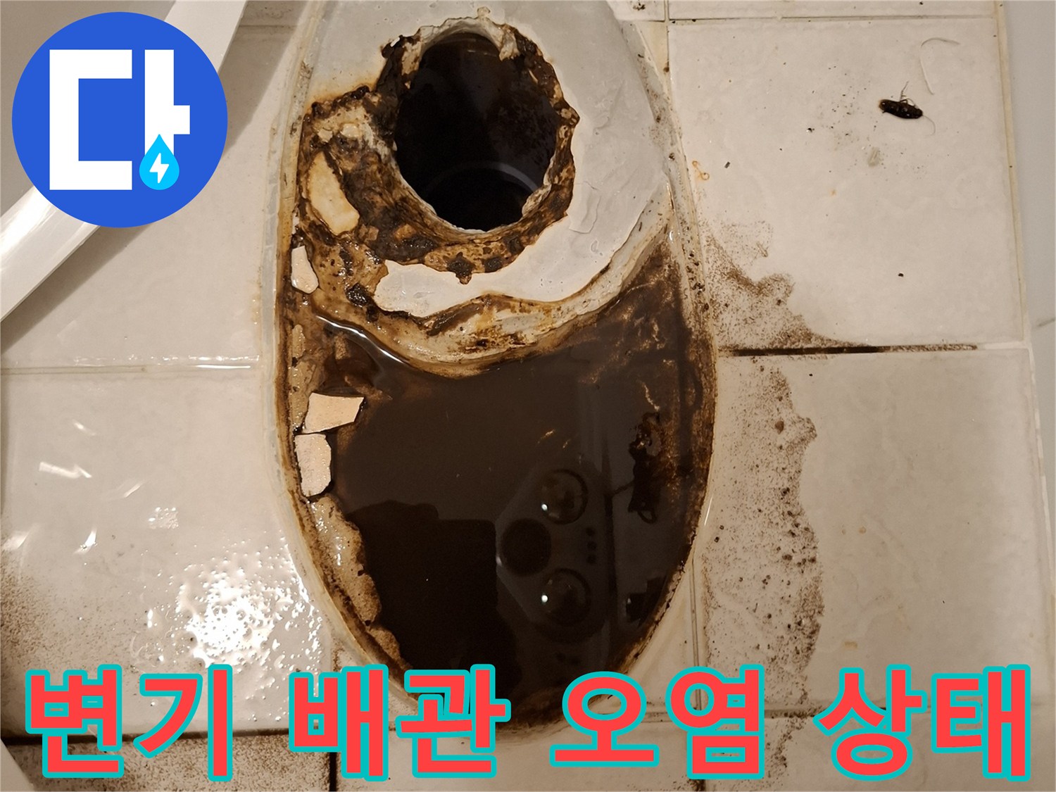 변기 탈거 후 노출된 오수관 주변의 검게 변한 타일 오염 상태