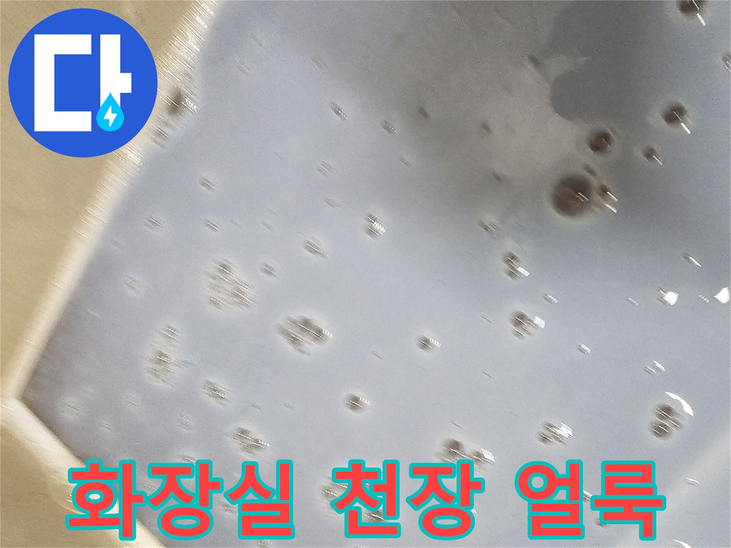 아랫집-화장실-천장-내부-물샘-흔적-사진