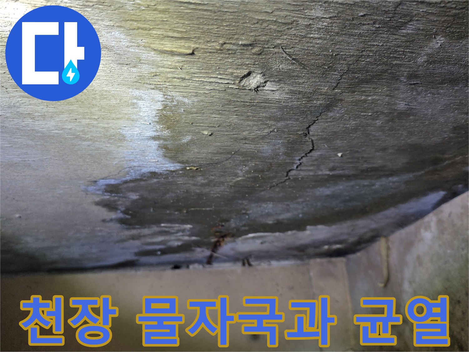 아파트-천장-콘크리트-누수-흔적-및-균열-상태