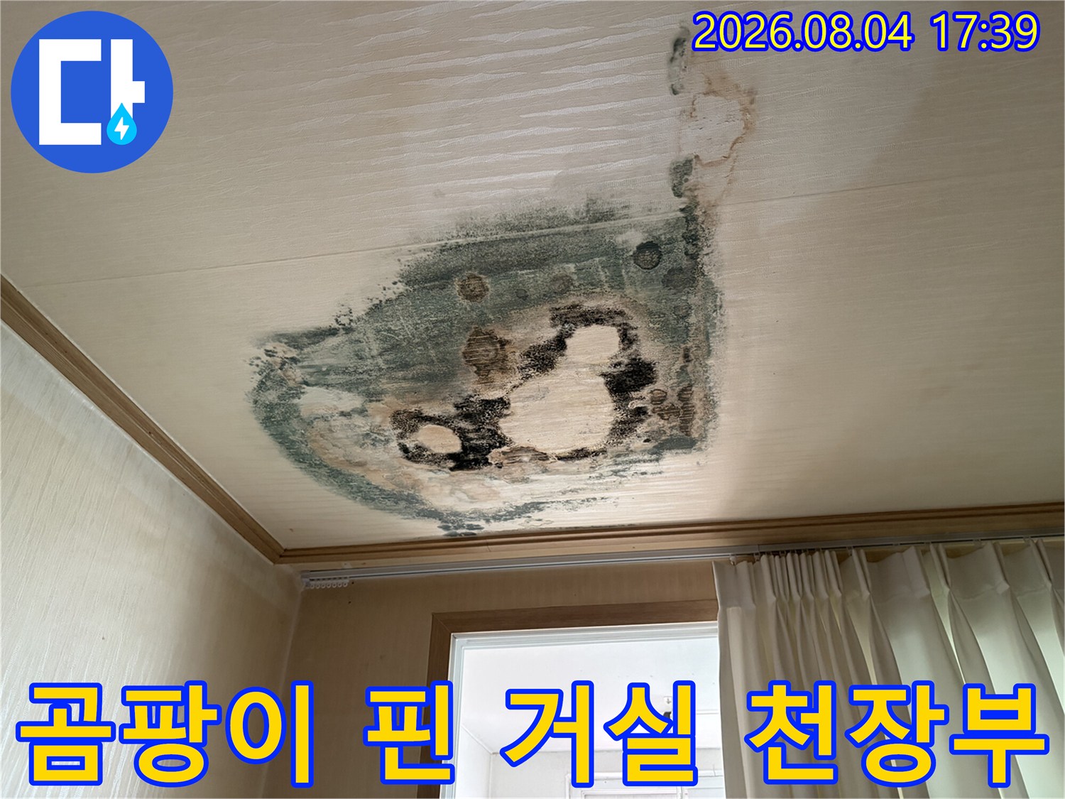 거실 천장에 발생한 대규모 누수 흔적과 곰팡이