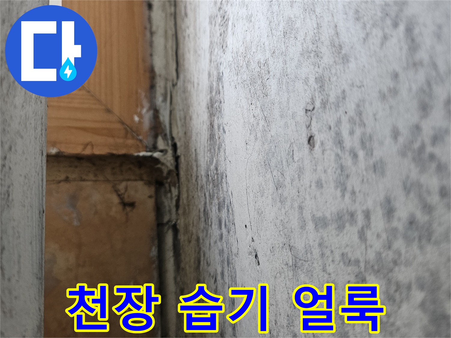 세탁실-천장-마감재-습기로-인한-변색-상태