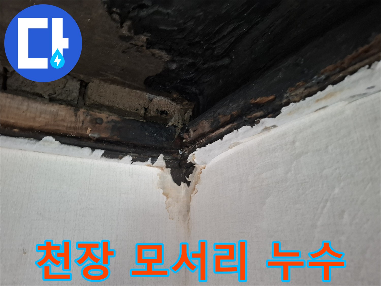 안양동-건물-천장-모서리의-심한-습기-및-오염