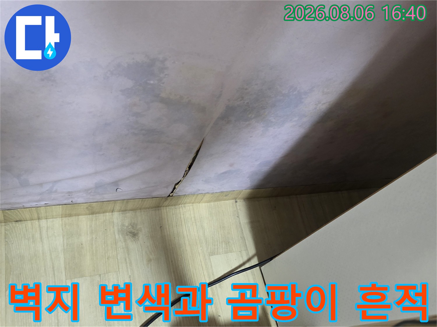 광진구 구의동 현장의-벽지 변색 및 곰팡이 발생 상태
