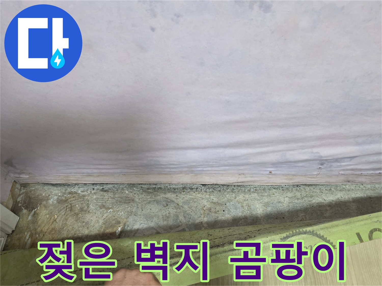 광진구 구의동 현장의 습기 찬 벽면 - 곰팡이가 번진 상태