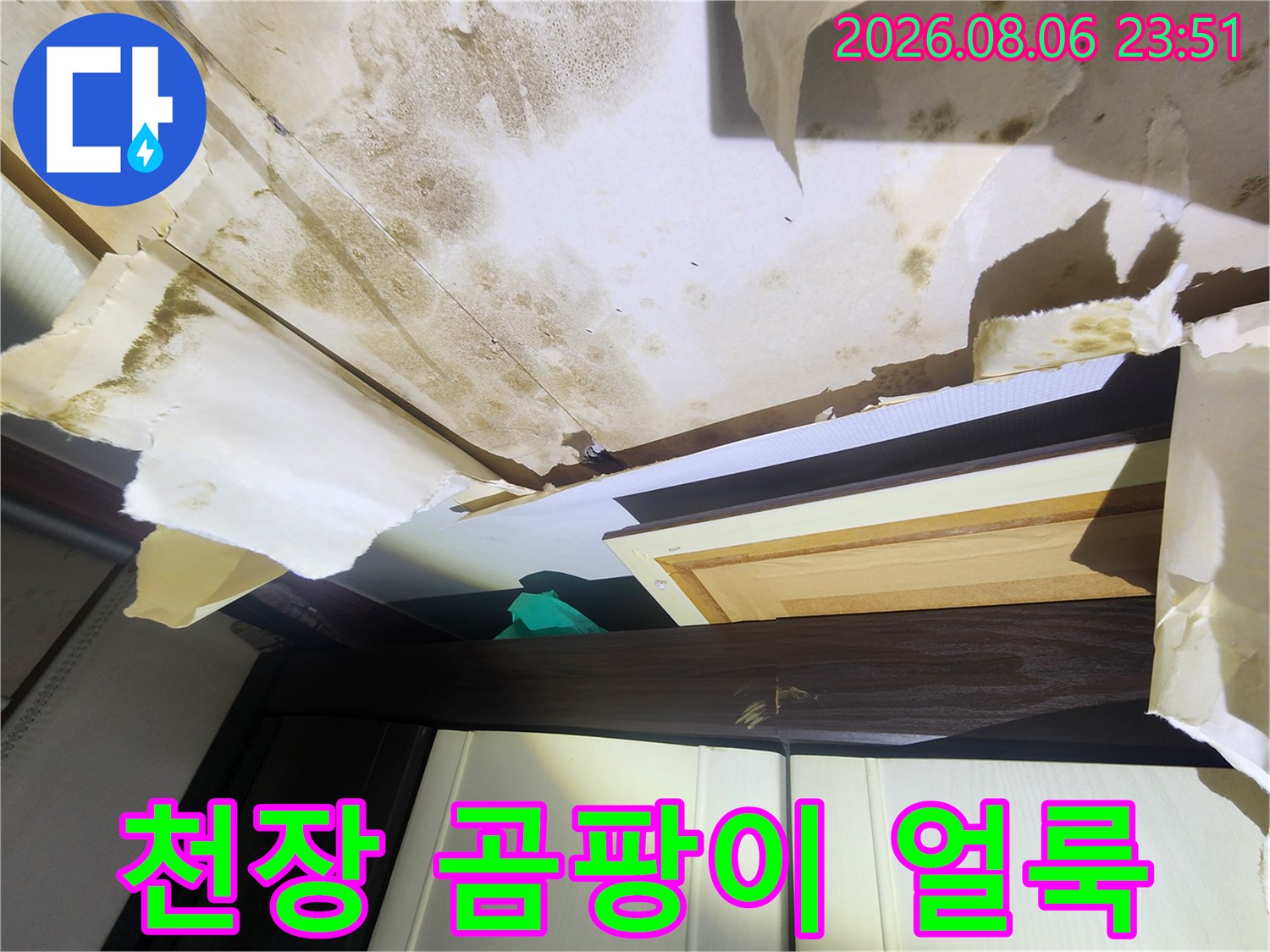 물기에 젖어 변색되고 곰팡이가 생긴 천장 벽지
