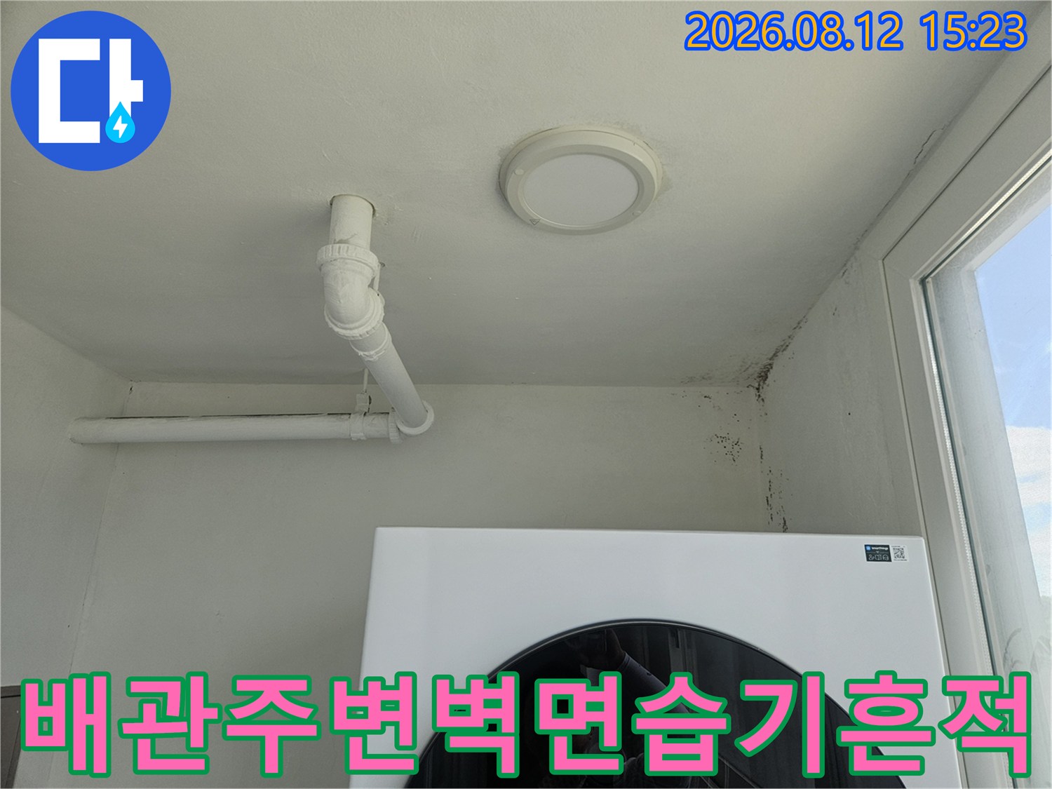 천장-화이트톤 배관과 그 주변 벽면에 발생한 어두운 색상의 곰팡이 얼룩