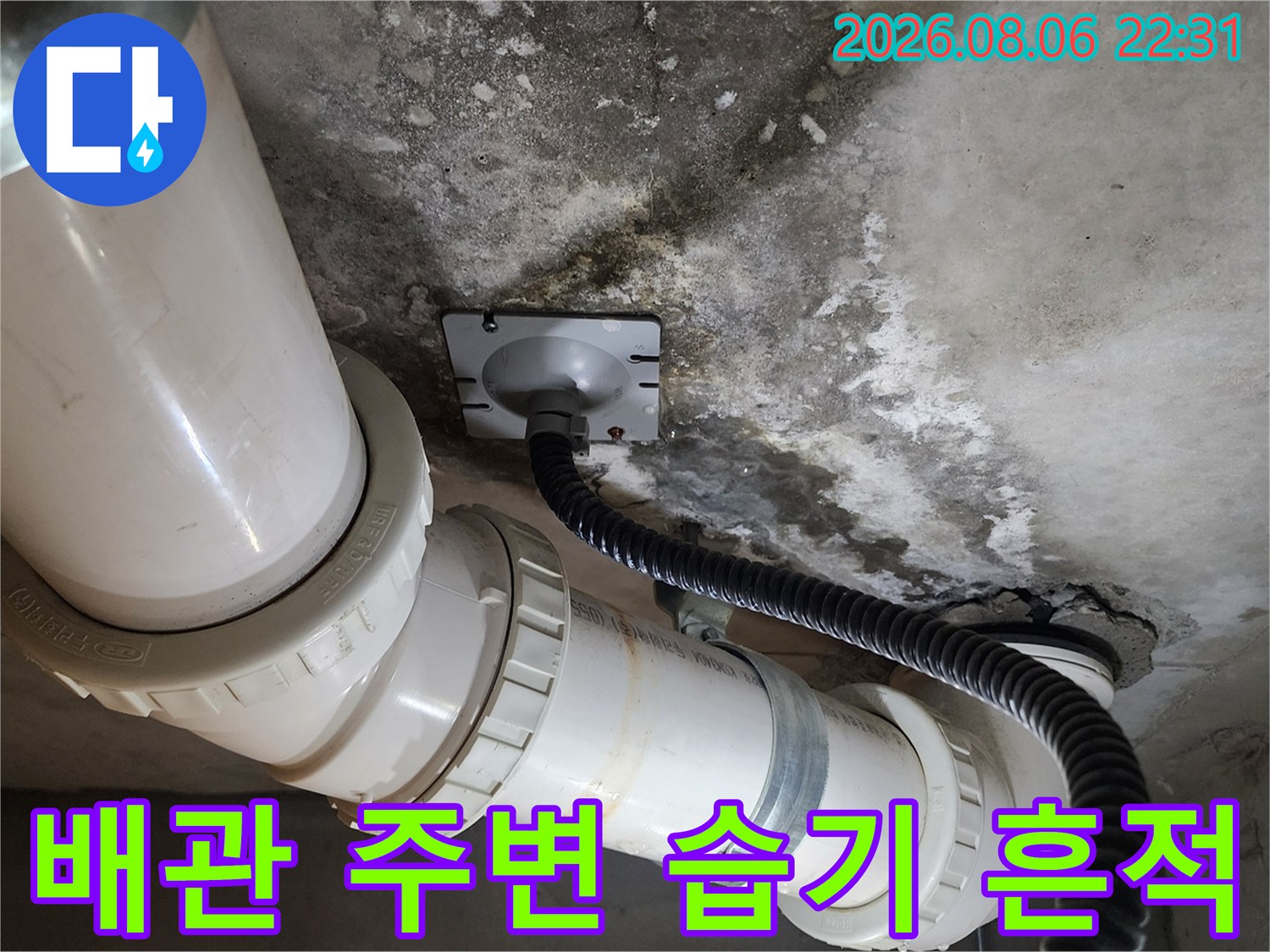 고양시 덕양구 화장실 천장 배관 주변의 젖은 콘크리트와 내시경 카메라 케이블 상태
